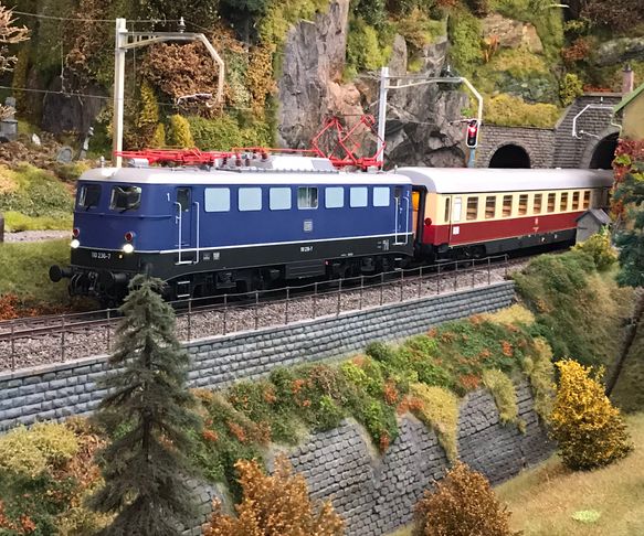 Guest loco BR110 (Märklin)